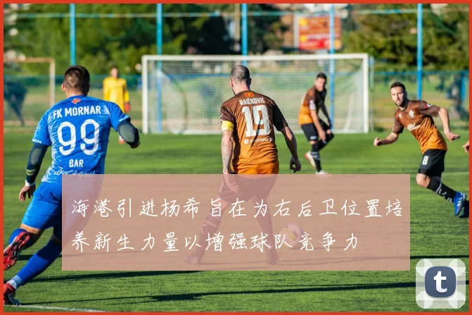 海港引进杨希旨在为右后卫位置培养新生力量以增强球队竞争力
